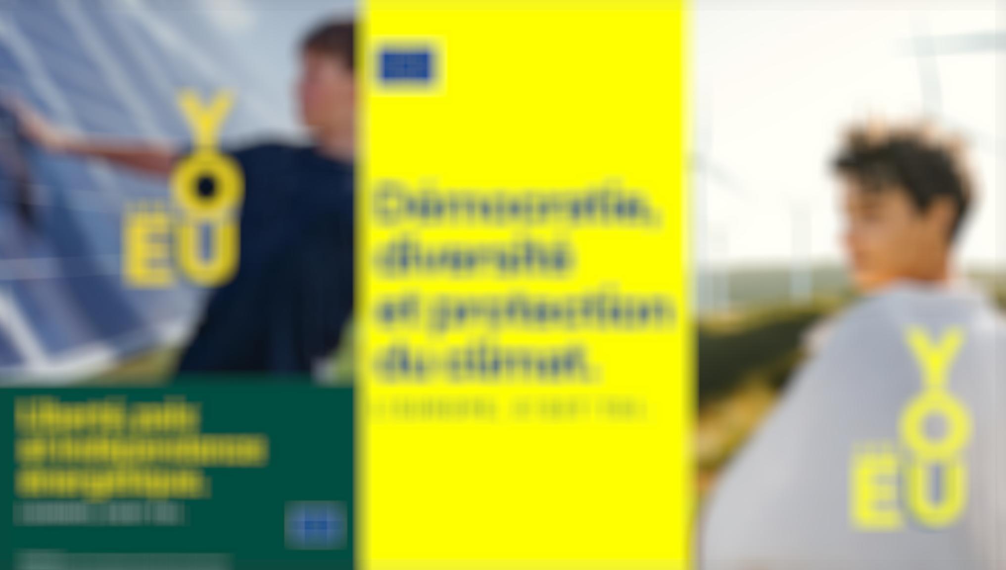 Union européeenne,UE,UE,You are EU,propagande,Frexit,Charles-Henri Gallois,Génération Frexit,EELV